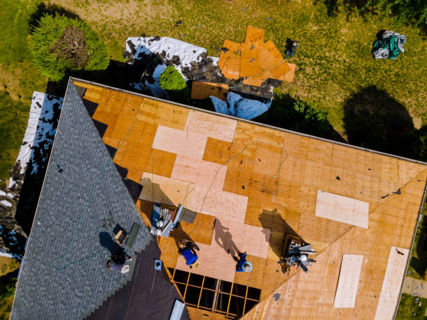 Best Roof Maintenance Services  in Luckey, OH